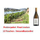 Probierpaket Pinot